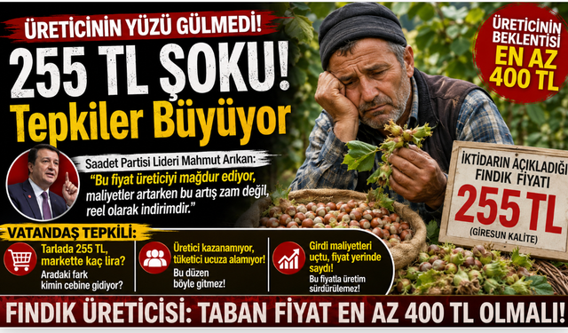 Fındıkta 255 TL Şoku! Üretici 'En Az 400 TL' diyor; Vatandaş tepkili...