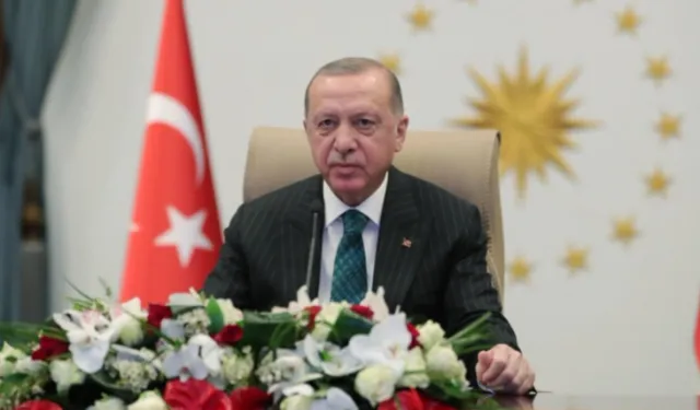 Cumhurbaşkanı Erdoğan'dan Sakarya Zaferi'nin 105. yılı mesajı