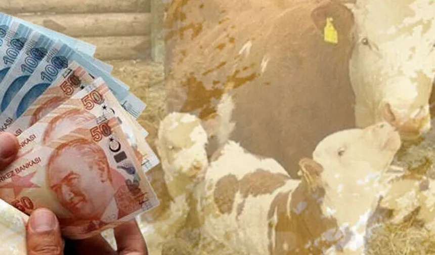 1,46 milyar TL tarımsal destek hesaplarda