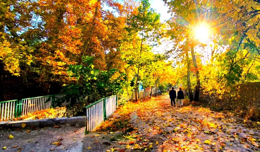 Mardin Yeşilli'de sonbahar büyüsü (Özel Haber)