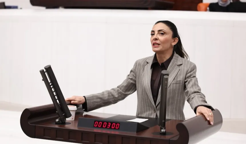 Nurhayat Altaca Kayışoğlu: 'Özgür sanat olmadan demokrasi olmaz'