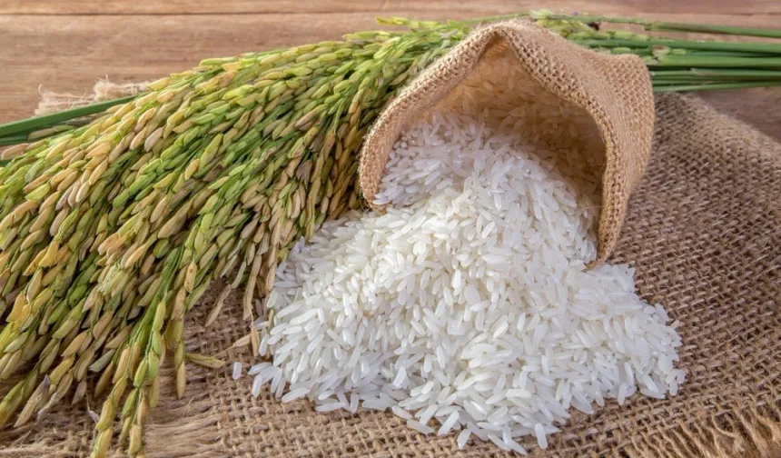 Çeltik üreticisi alarm veriyor! Mustafa Bezbaş, çeltik üreticilerinin sorunlarını taşıdı