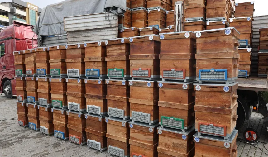 Bursa Büyükşehir'den arıcılara kovan desteği