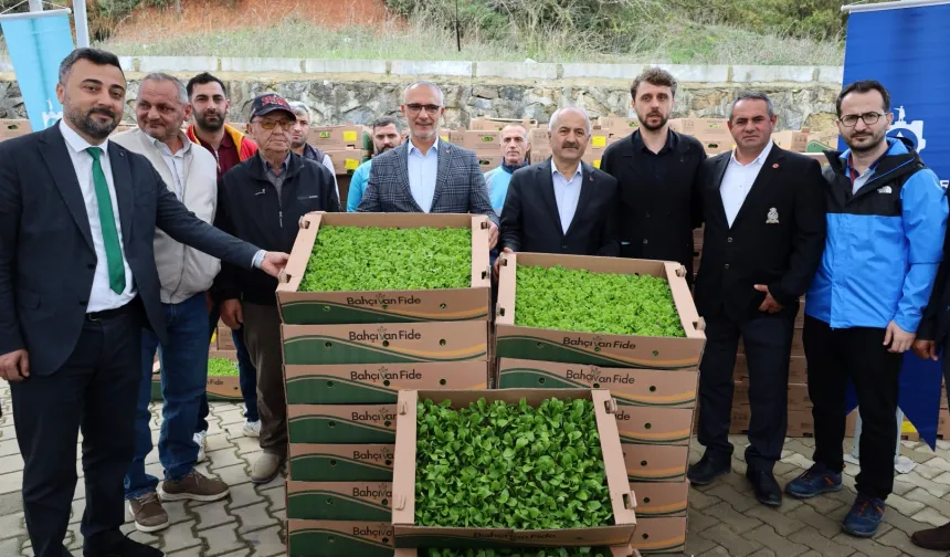 Kocaeli'de çiftçilere sebze fidesi desteği