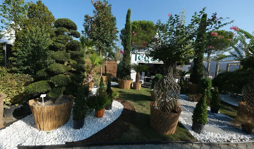 Binlerce konsept Sakarya'da 9. kez vitrine çıkıyor