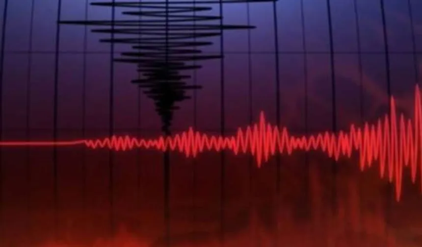 Son dakika... Şanlıurfa'da Korkutan Deprem! Çevre İller de Sallandı