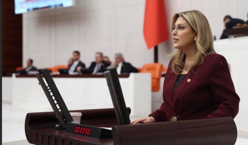 Giresun Milletvekili Gezmiş'ten TBMM'de Eğitim çıkışı!