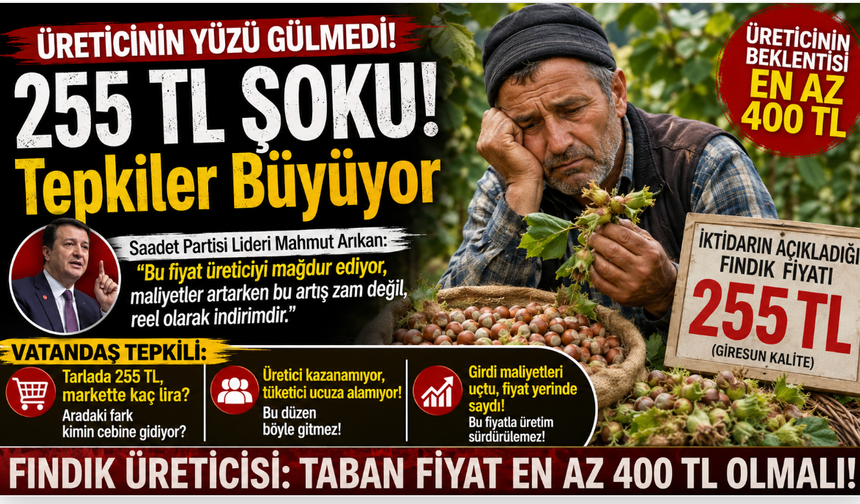 Fındıkta 255 TL Şoku! Üretici 'En Az 400 TL' diyor; Vatandaş tepkili...