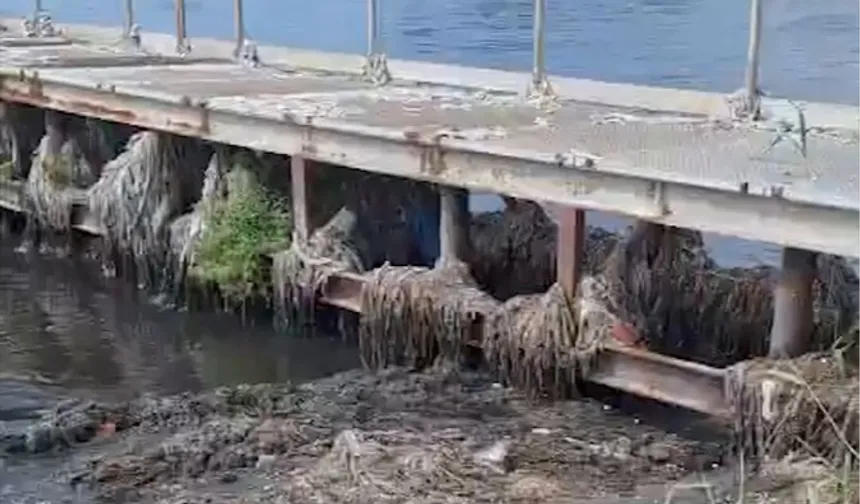 İSKİ'ye Marmara Denizi'ne atık su deşarjı dolayısıyla yeni ceza