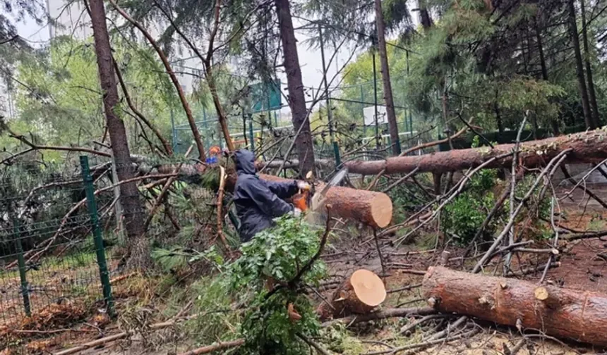 İstanbul Beylikdüzü'nde ekiplerin sağanak mesaisi