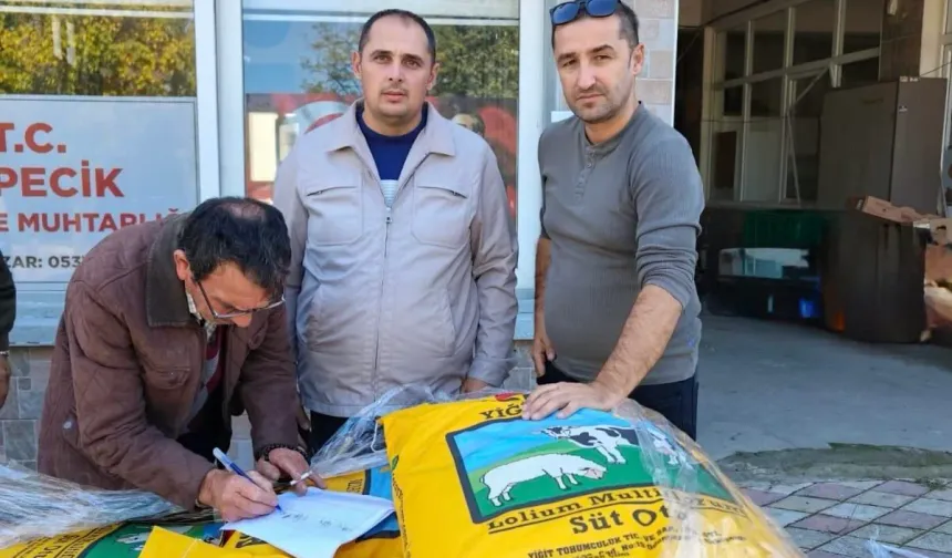 Mustafakemalpaşa'da üreticilere 2 ton İtalyan çimi tohumu desteği