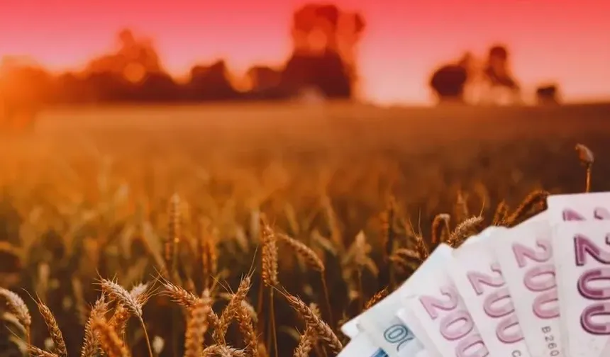 TMO'dan üreticilere 4,2 milyar liralık ürün bedeli ödemesi