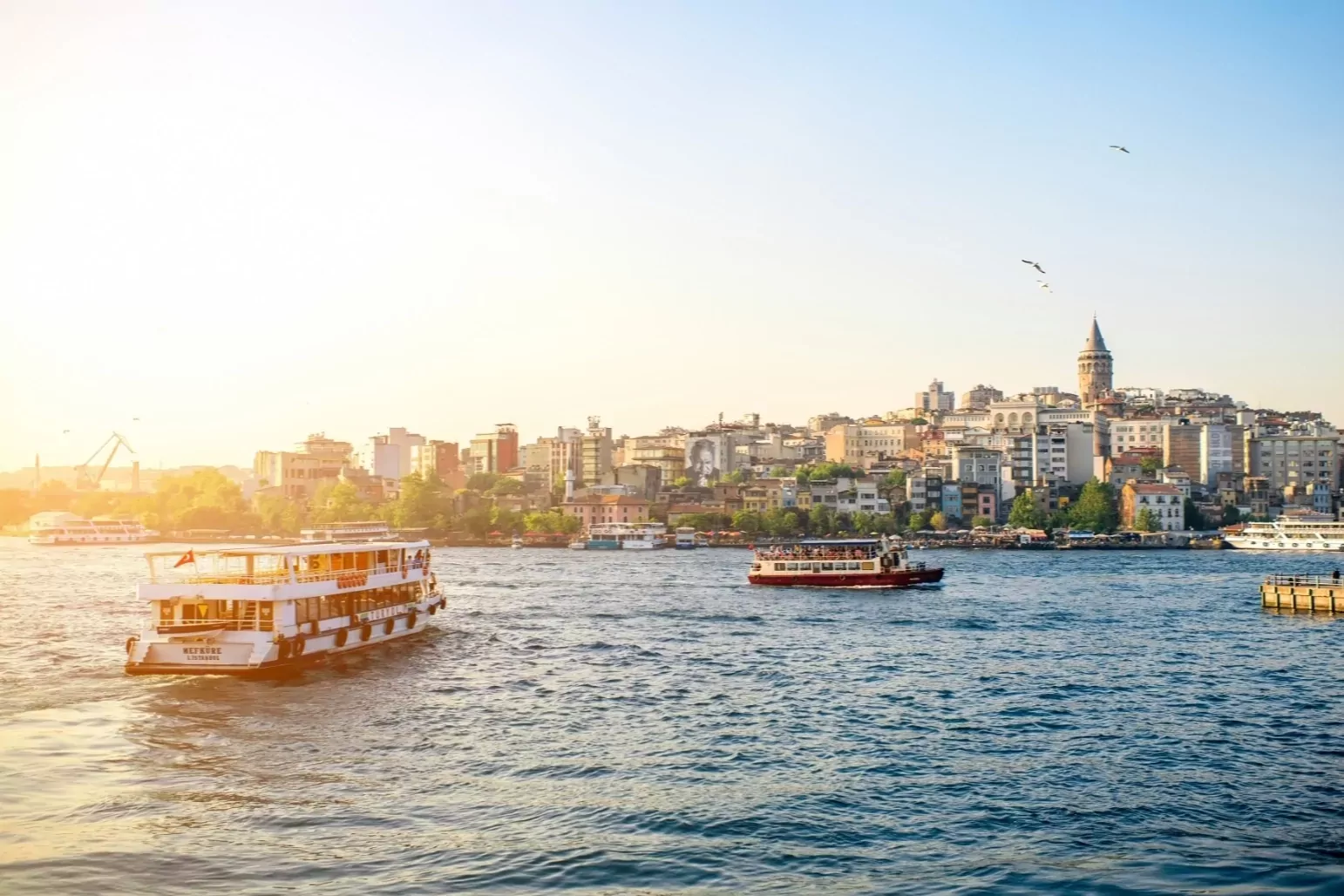 Yaşam